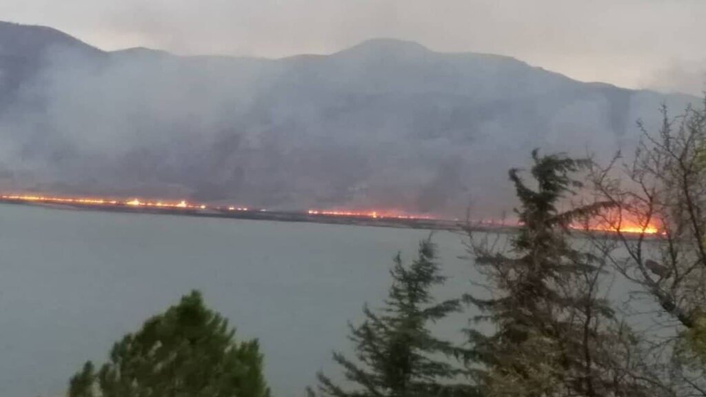 ادامه آتش‌سوزی در نیزارهای دریاچه زریبار مریوان