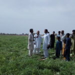 اعتراض کشاورزان رودبار ایرانشهر در بلوچستان