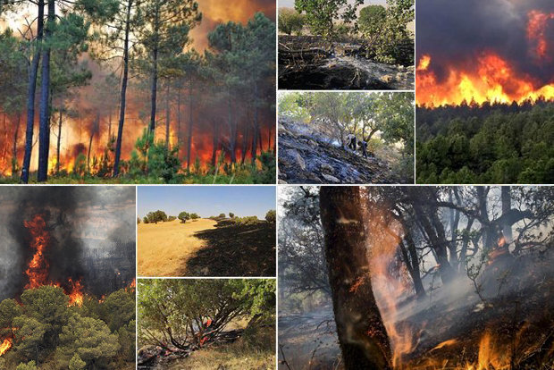 بازهم تابستان و  افتادن آتش به جان جنگلهای زاگرس