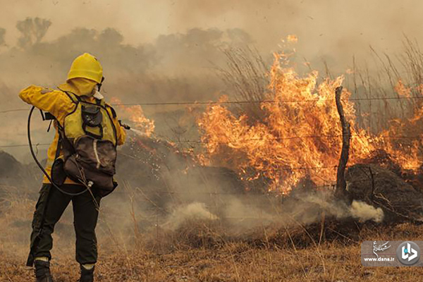 آتش‌سوزی گسترده جنگل‌های شمال آرژ‌انتین