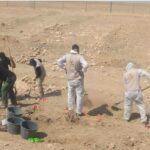 کشف یک گور دسته‌جمعی در شمال سوریه